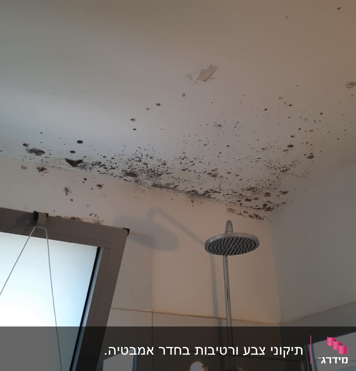 כתמי עובש על תקרת חדר אמבטיה